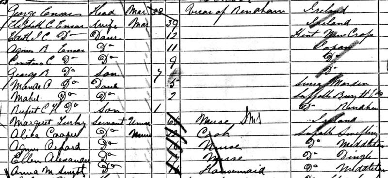 1881 census ensor